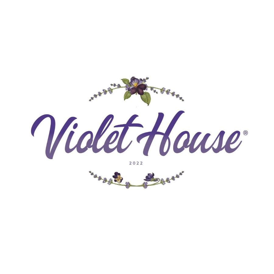 卡塔尼亚Violet House.别墅 外观 照片